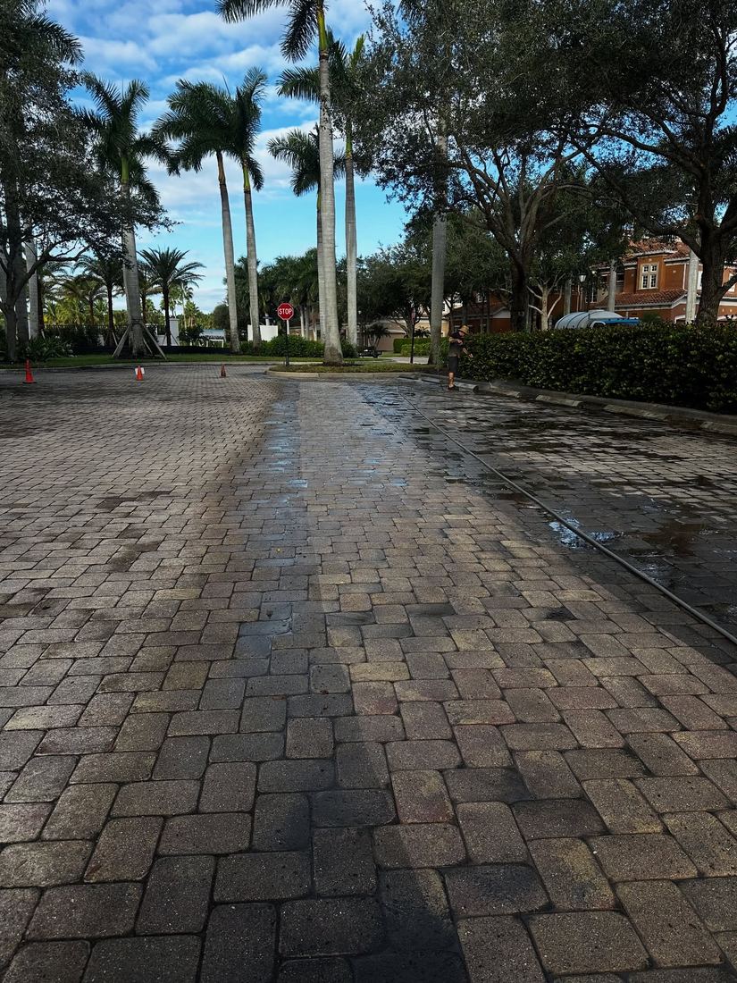 Before — dirty HOA sidewalk
